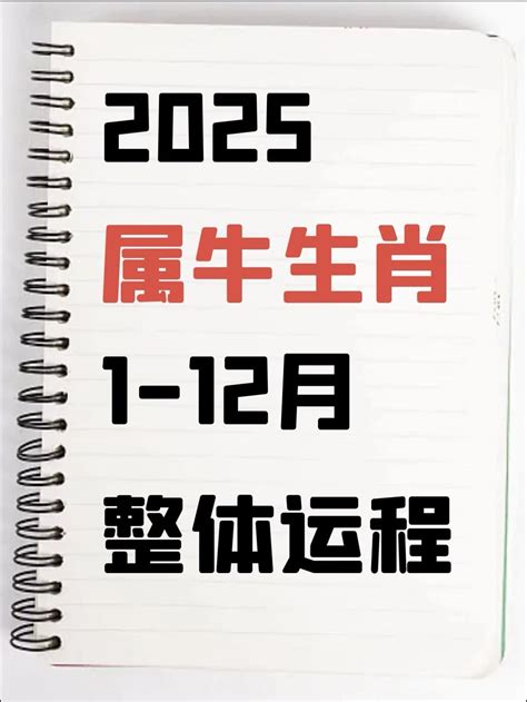 1970年出生|1970年